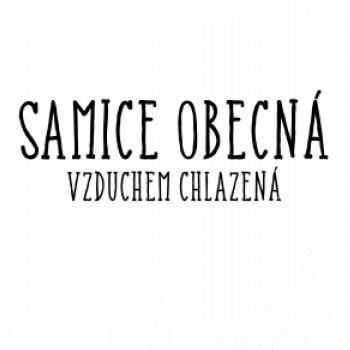 Samice obecná