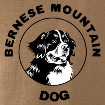 Bernese mountain dog v kruhu