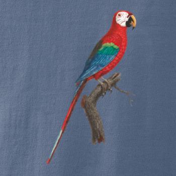 Papoušek červený na větvi