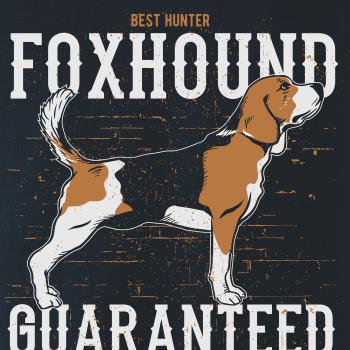 Dog foxhound