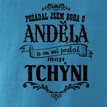 Požádal jsem boha o anděla a on mi poslal moji tchýni