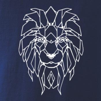 Geometrie - lev tvář Geometrie - lev tvář