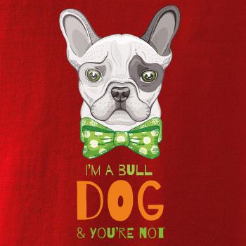 I am bull dog, you are not