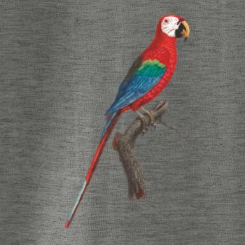 Papoušek červený na větvi