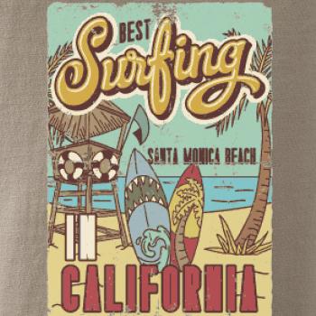 Santa Monica Beach Surf