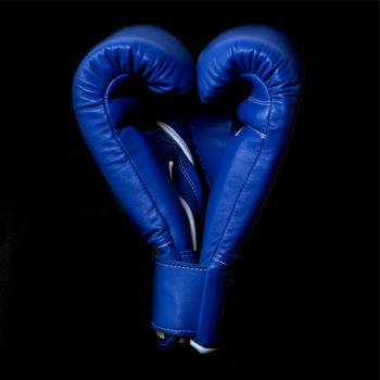 Boxerské rukavice modré