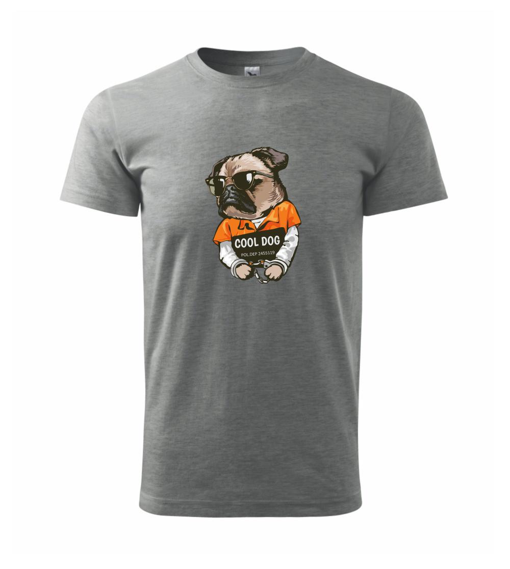Mops výtržník Mops výtržník