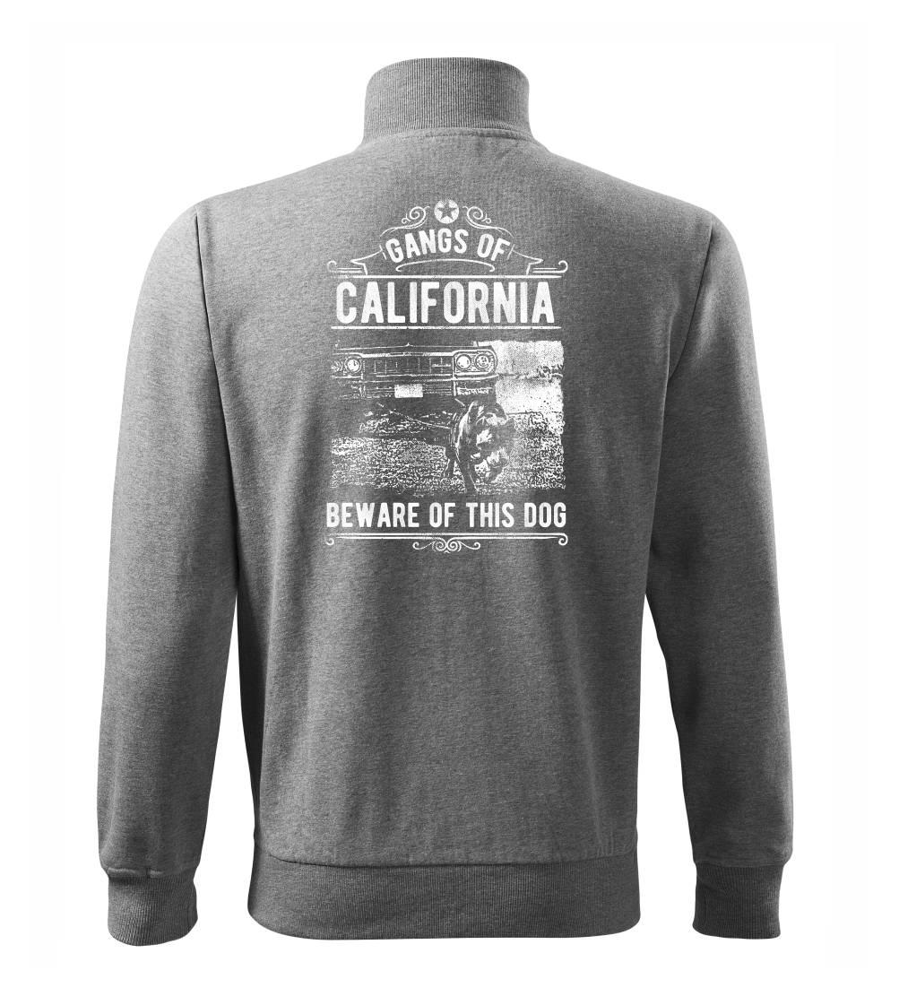 Gangs Of California Gangs Of California