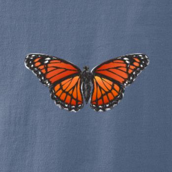 Motýl Monarcha stěhovavý