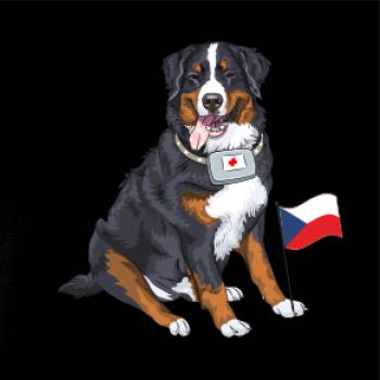 Pes záchranář bernský salašnický