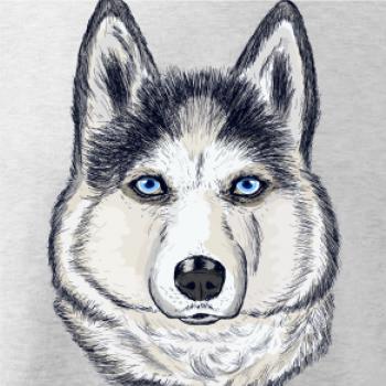 Husky hlava - kreslený