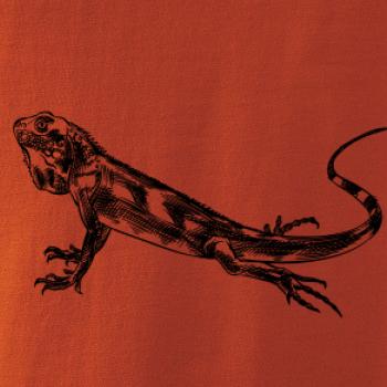 Tužkou kreslený Leguán 