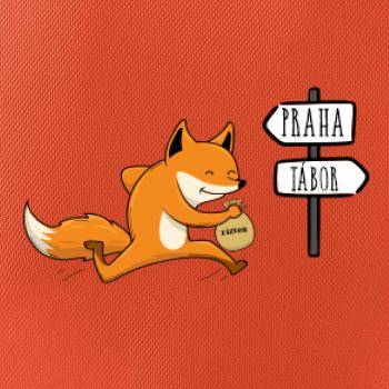 Běží liška k táboru