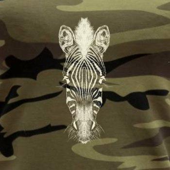 Zebra kresba
