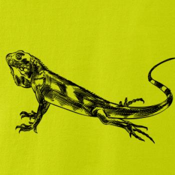 Tužkou kreslený Leguán 