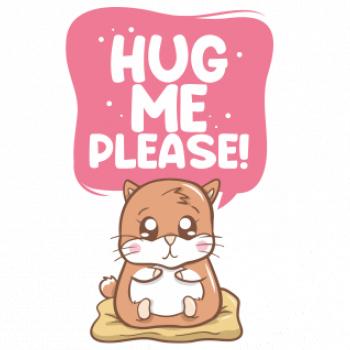 Morče - hug me please