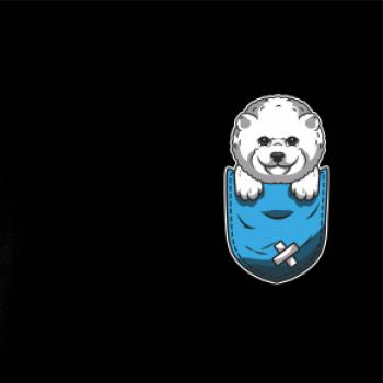 Bišonek v kapsičce