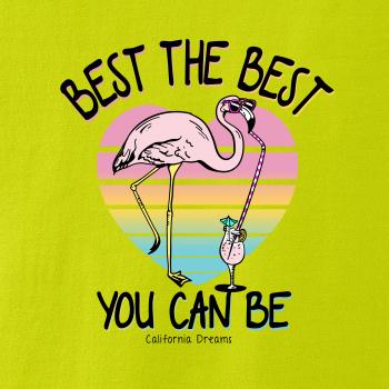 Best the best plameňák