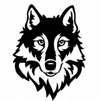 Hlava vlka černobílá (Hana-creative)