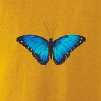 Motyl babočka Morpho Peleides