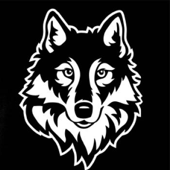 Hlava vlka černobílá (Hana-creative)