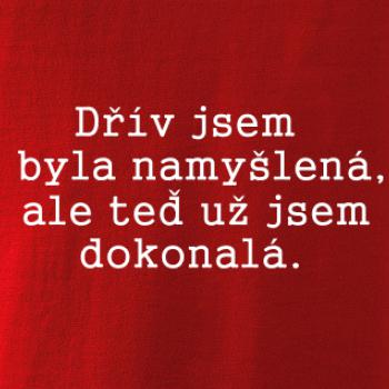 Jsem dokonalá
