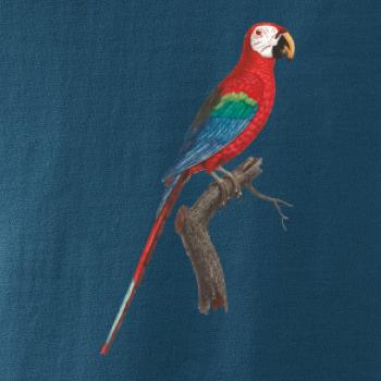 Papoušek červený na větvi