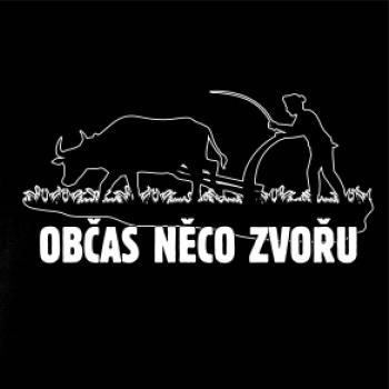 Občas něco zvořu
