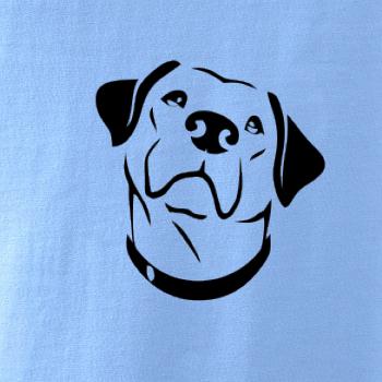 Labrador obrys