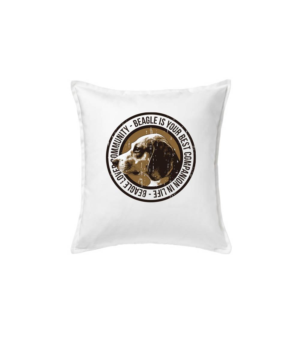 Dog beagle Dog beagle