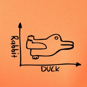 Duck Rabbit