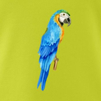 Ara modrá kreslená