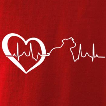 Stafordšírsky bulteriér EKG Stafordšírsky bulteriér EKG