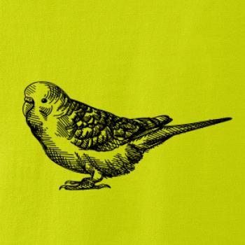 Tužkou kreslený Papoušek