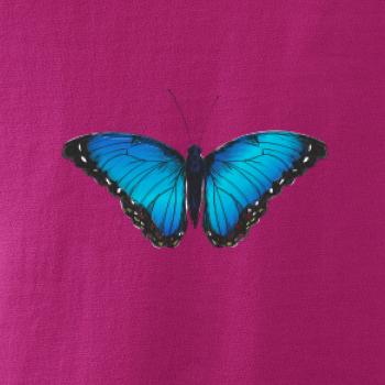 Motyl babočka Morpho Peleides