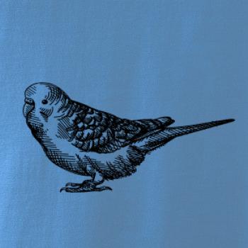 Tužkou kreslený Papoušek