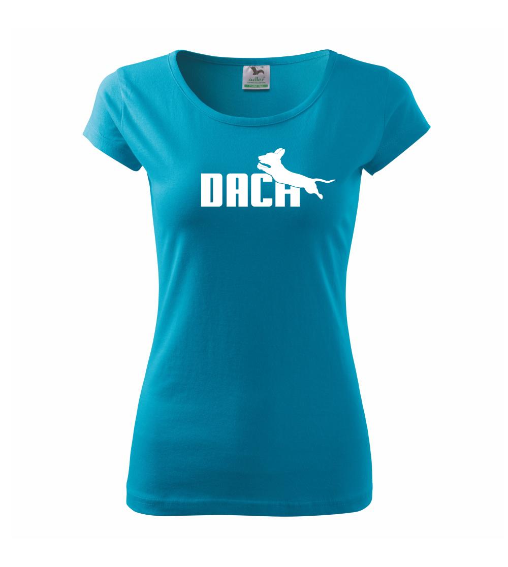 Jezevčík Dach Jezevčík Dach