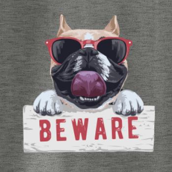 Pug - beware Pug - beware