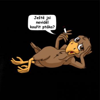 Kouřící pták (Hana-creative)