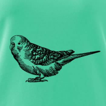 Tužkou kreslený Papoušek