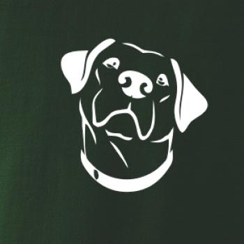 Labrador obrys