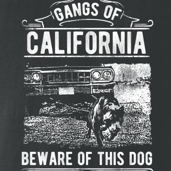 Gangs Of California