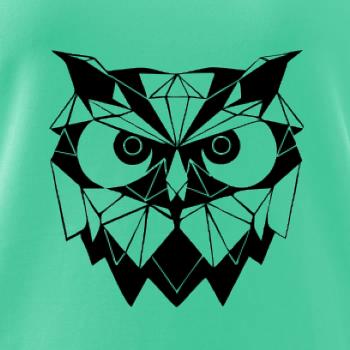 Geometrie - sova zlá