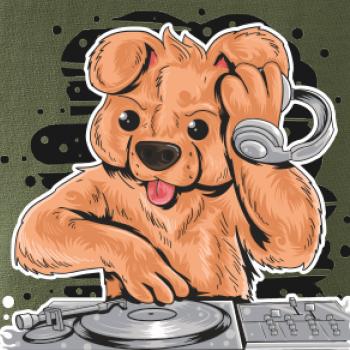 DJ Teddy