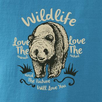 Wildlife medvěd