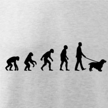 Evoluce pes kokršpaněl (muž-žena)