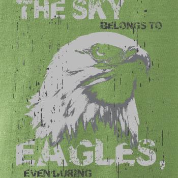 Eagle skystorm