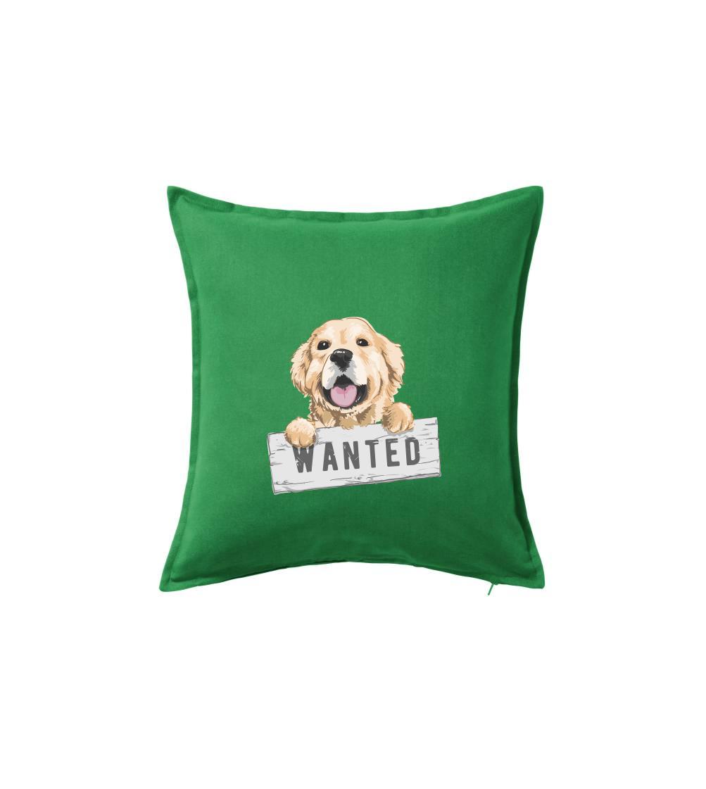 Zlatý retriever - štěně wanted Zlatý retriever - štěně wanted