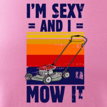 I'm sexy and i mow it