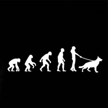 Evoluce pes Německý ovčák (muž-žena)